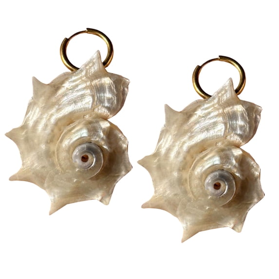 Marine Inspired Spirals Shell Earrings Lightweight Comfort Fit Stylish Daily Accessory Unisex Shell Studs Earrings