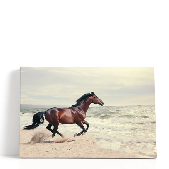 Marine Landscape With Beautiful Bay Horse - Wrapped Canvas Print Wall Art | 18" W x 12" H