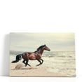thumbnail image 1 of Marine Landscape With Beautiful Bay Horse - Wrapped Canvas Print Wall Art | 30" W x 20" H, 1 of 4