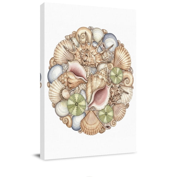 Marine Life Canvas Wall Art for Living Room, Shells Conch Oceans Watercolors Abstract Poster Print Painting for Bedroom Office Home Decoration Wall Pictures Prepare To Hang 22"x28"