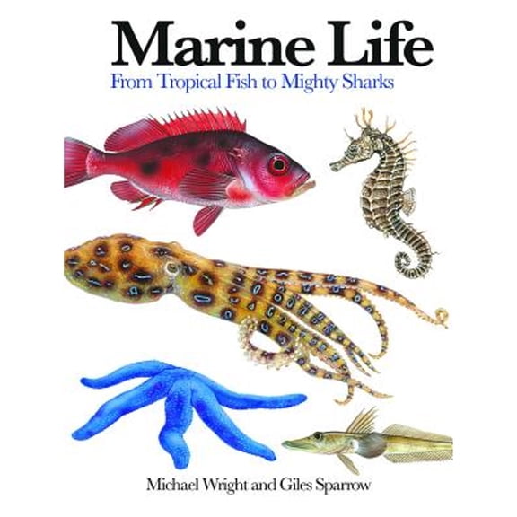 Pre-Owned Mini Encyclopedia: Marine Life: From Tropical Fish to Mighty Sharks (Paperback)