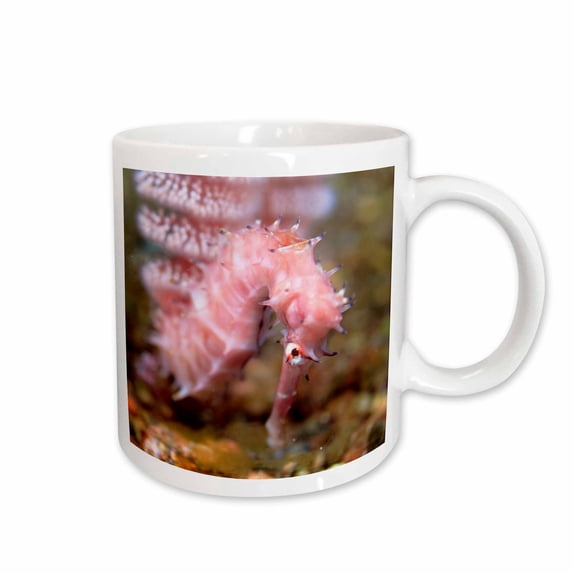 3drose, Marine Life, Seahorse, Alor, Indonesia-as11 Sws0480 - Stuart Westmorland, 15oz Mug