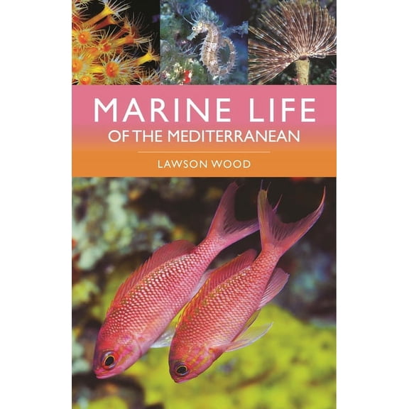 Marine Life of the Mediterranean (Edition 2) (Paperback)