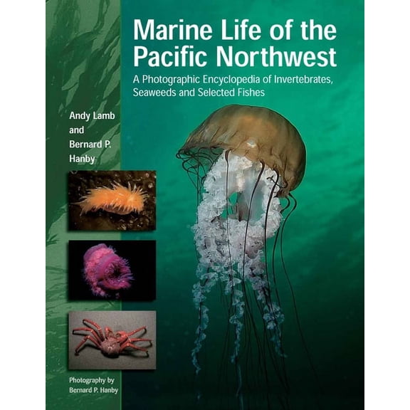 Marine Life of the Pacific Northwest: A Photographic Encyclopedia of Invertebrates, Seaweeds and Selected Fishes (Hardcover)
