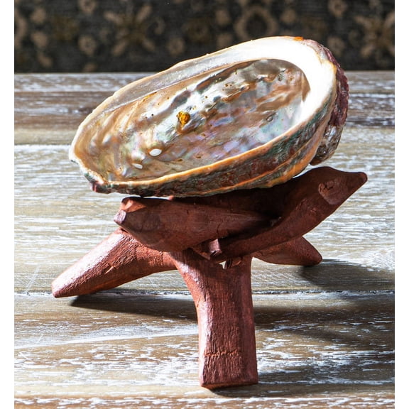 Marine Natural Abalone Shell On Accent Wood Tripod Stand Jewelry Incense Holder