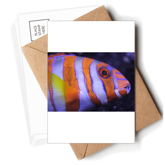 Marine Organism Tropical Fish Animal Postcards Envelopes Blank Note Cards Mailing