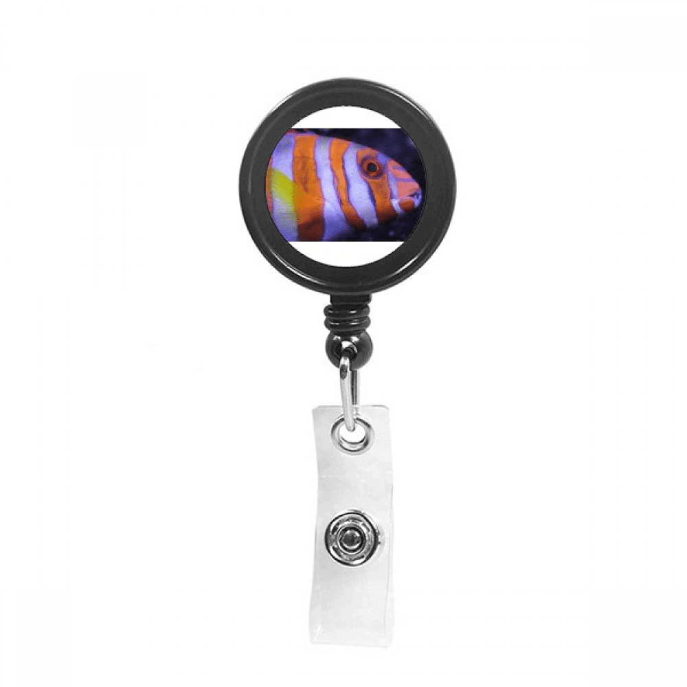 Marine Organism Tropical Fish Animal Retractable Keychain Badge Holder ID Badge