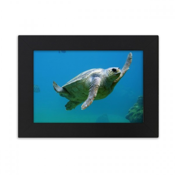 Marine Organism Turtle Ocean Animal Desktop Photo Frame Ornaments Picture Art Painting
