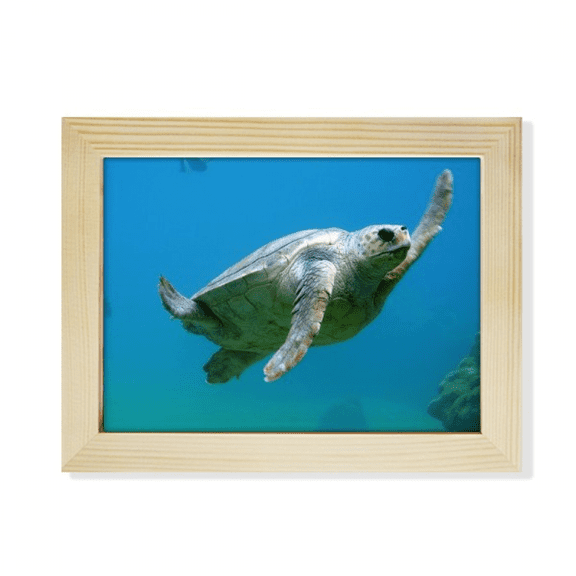 Marine Organism Turtle Ocean Animal Desktop Photo Frame Picture Art Decoration Painting 6x8 inch