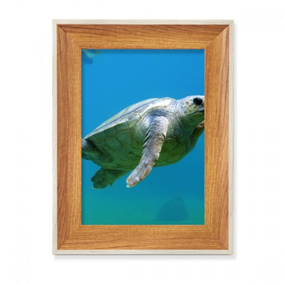 Marine Organism Turtle Ocean Animal Desktop Wooden Photo Frame Display Picture Art Painting Multiple Sets