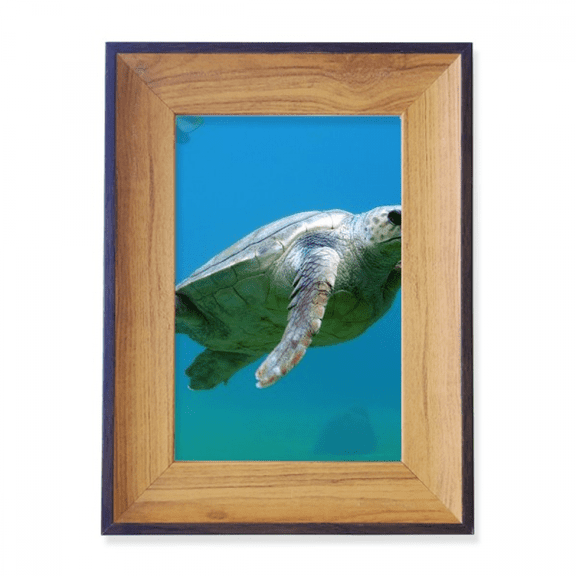 Marine Organism Turtle Ocean Animal Photo Frame Exhibition Display Art Desktop Painting