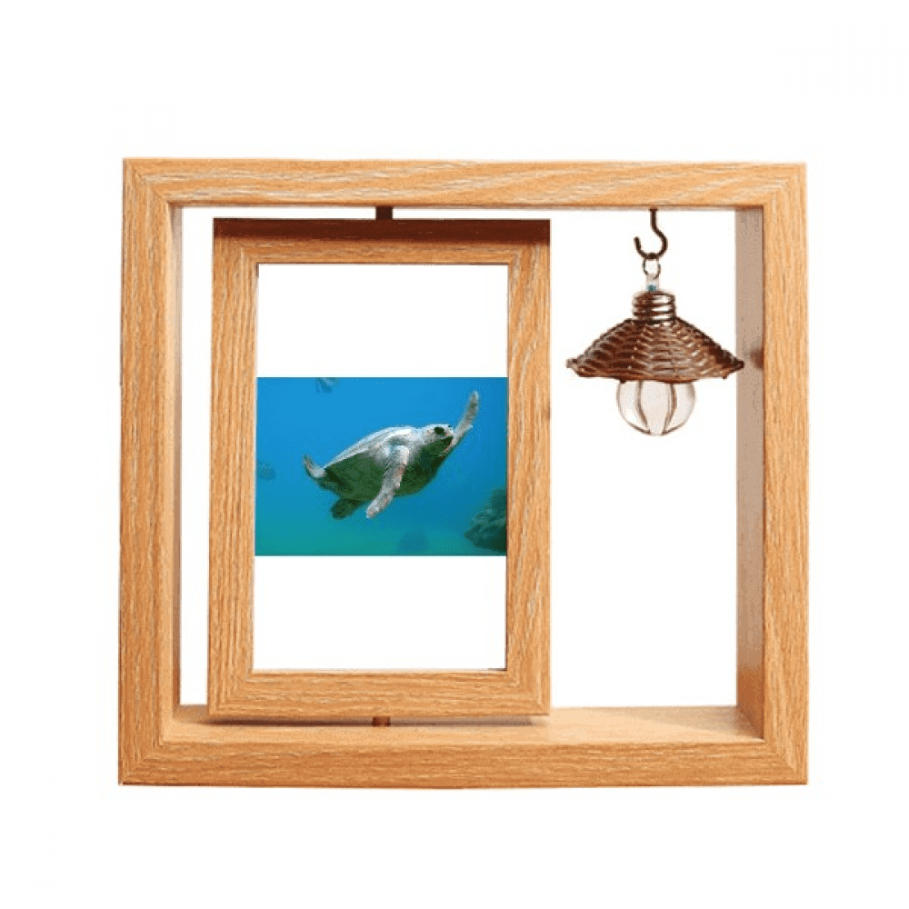 Marine Organism Turtle Ocean Animal Wooden Rotating Picture Photo Frame ...