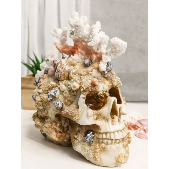 Marine Sea Explorer The Great Barrier Coral Reef Shells And Rocks Skull Figurine
