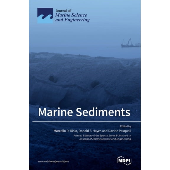 Marine Sediments: Processes, Transport and Environmental Aspects, (Hardcover)