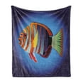 thumbnail image 1 of Marine Soft Flannel Fleece Throw Blanket, Tropical Exotic Ocean Sea Fish with Colorful Fins and Underwater Nautical Image, Cozy Plush for Indoor and Outdoor Use, 50" x 60", Multicolor, by Ambesonne, 1 of 5