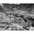 thumbnail image 1 of Marine Tanks And Infantry Assault Japanese Positions In A Peleliu Island Ridge History (36 x 24), 1 of 1