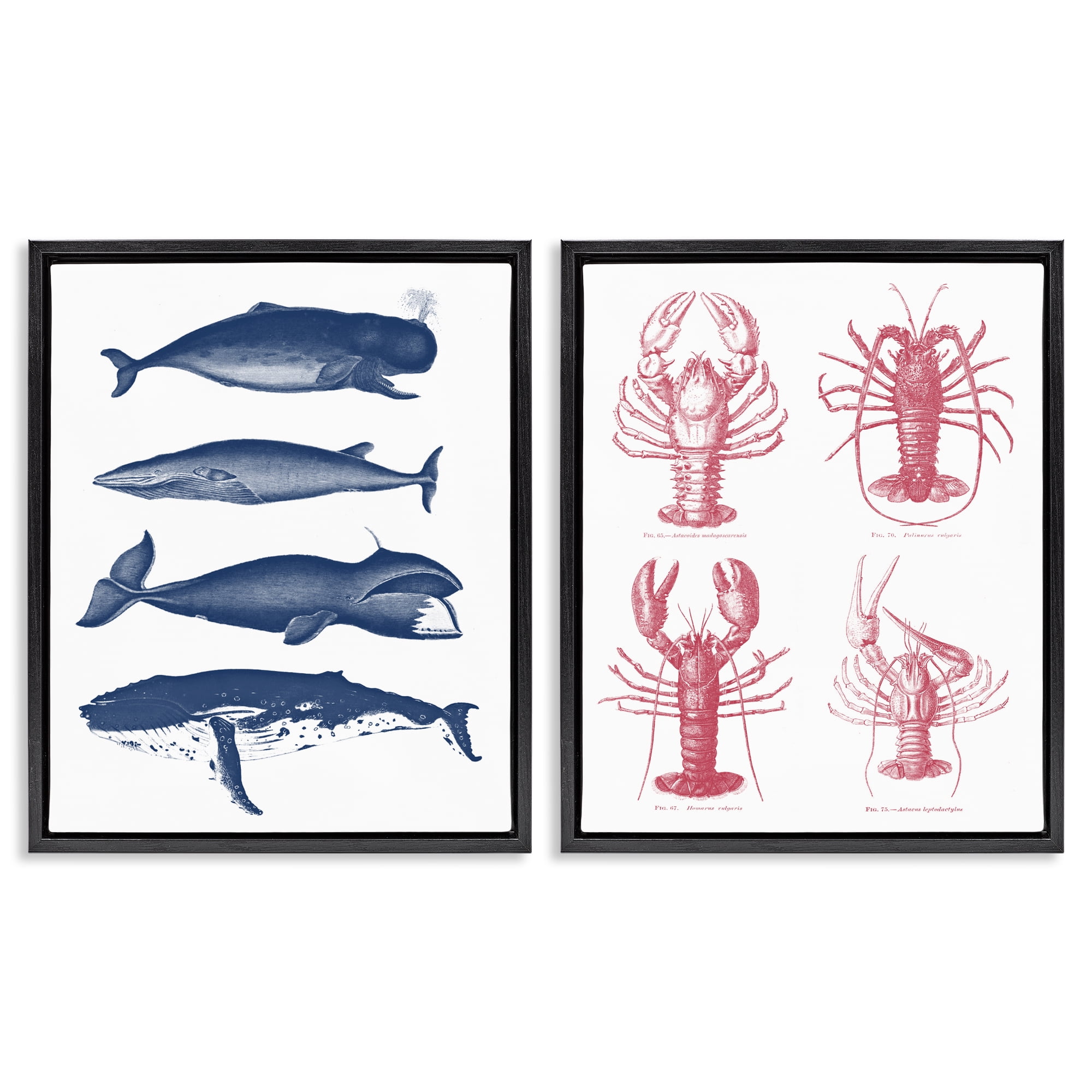 Marine Whales & Lobsters 2 Piece Black Framed Floater Canvas Set, design by Lettered and Lined