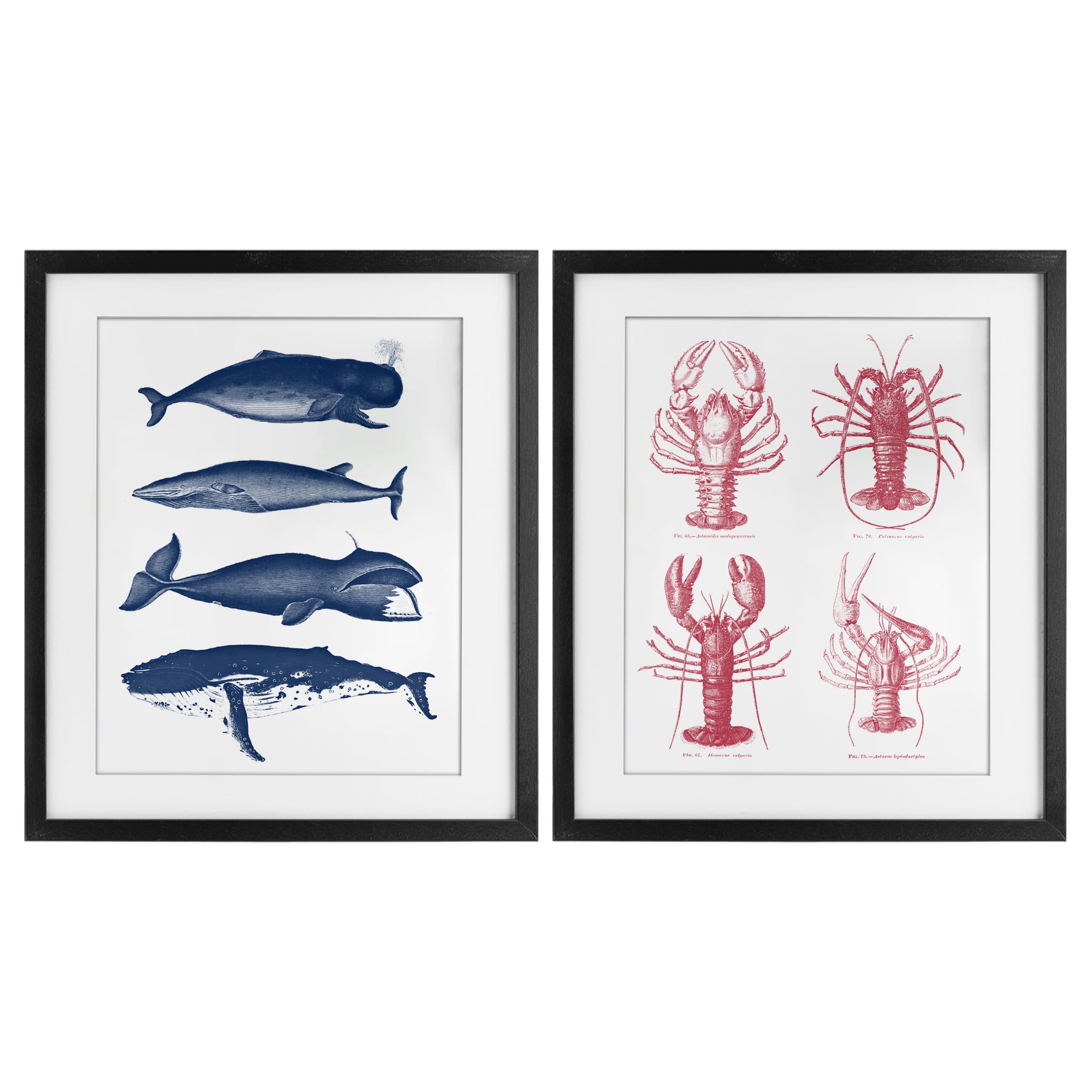 Marine Whales & Lobsters 2 Piece Black Framed Print Under Glass Set, design by Lettered and Lined