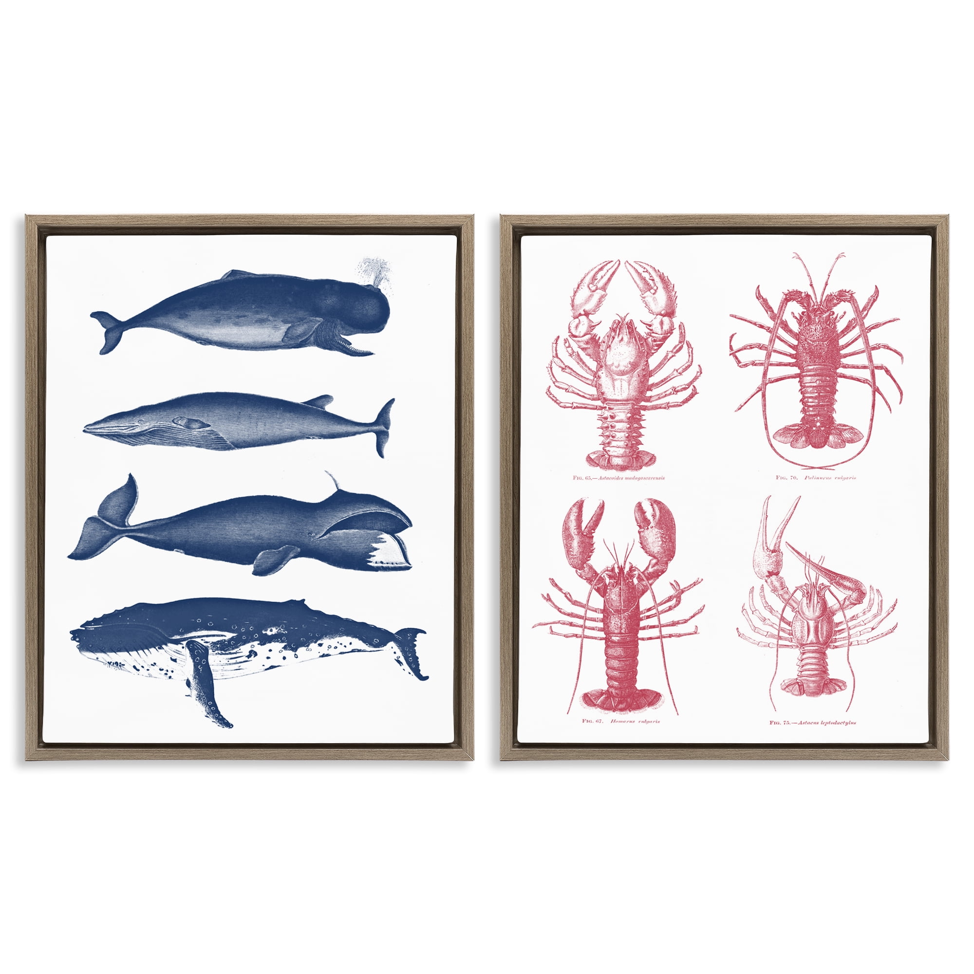 Marine Whales & Lobsters 2 Piece Brown Framed Floater Canvas Set, design by Lettered and Lined