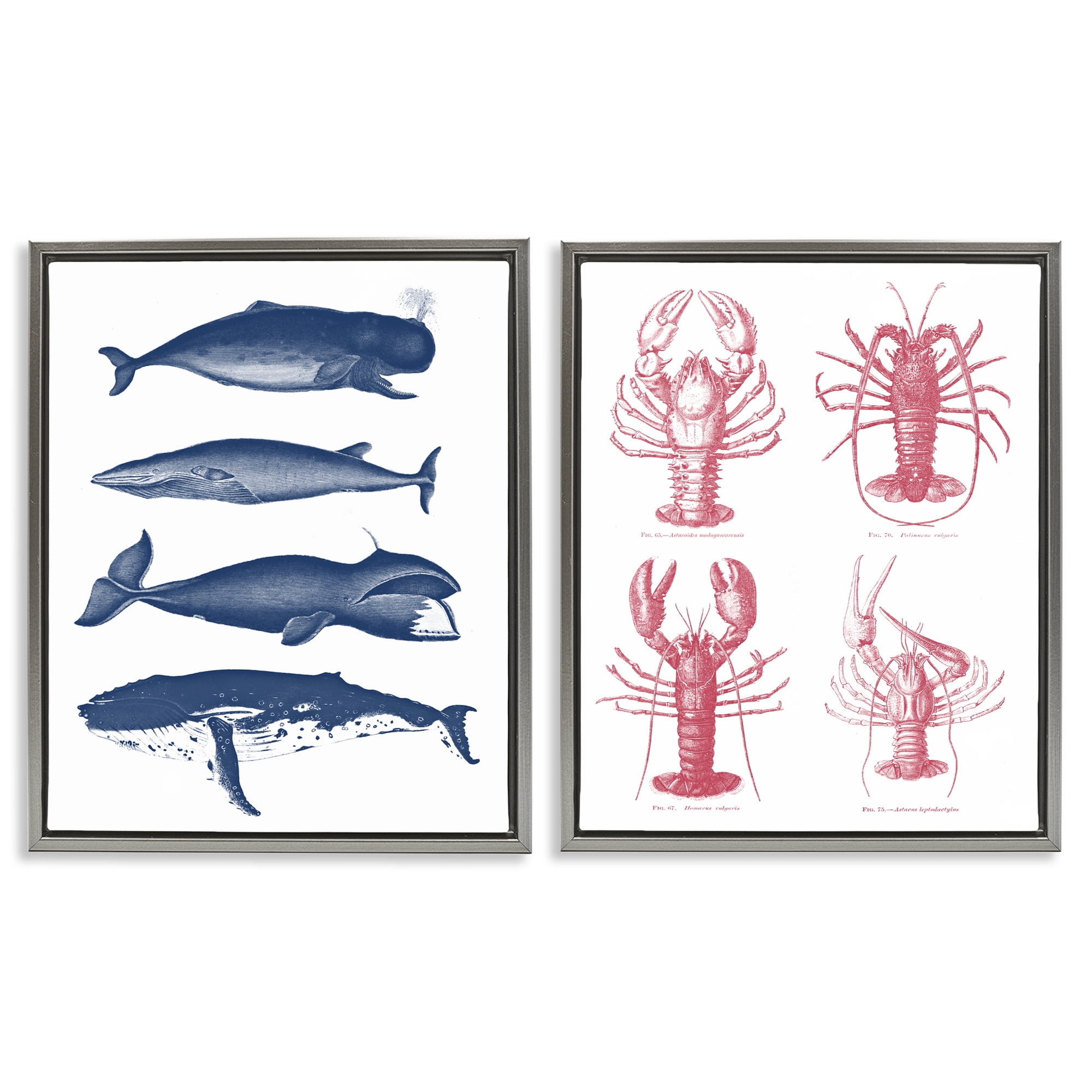 Marine Whales & Lobsters 2 Piece Gray Framed Floater Canvas Set, design by Lettered and Lined