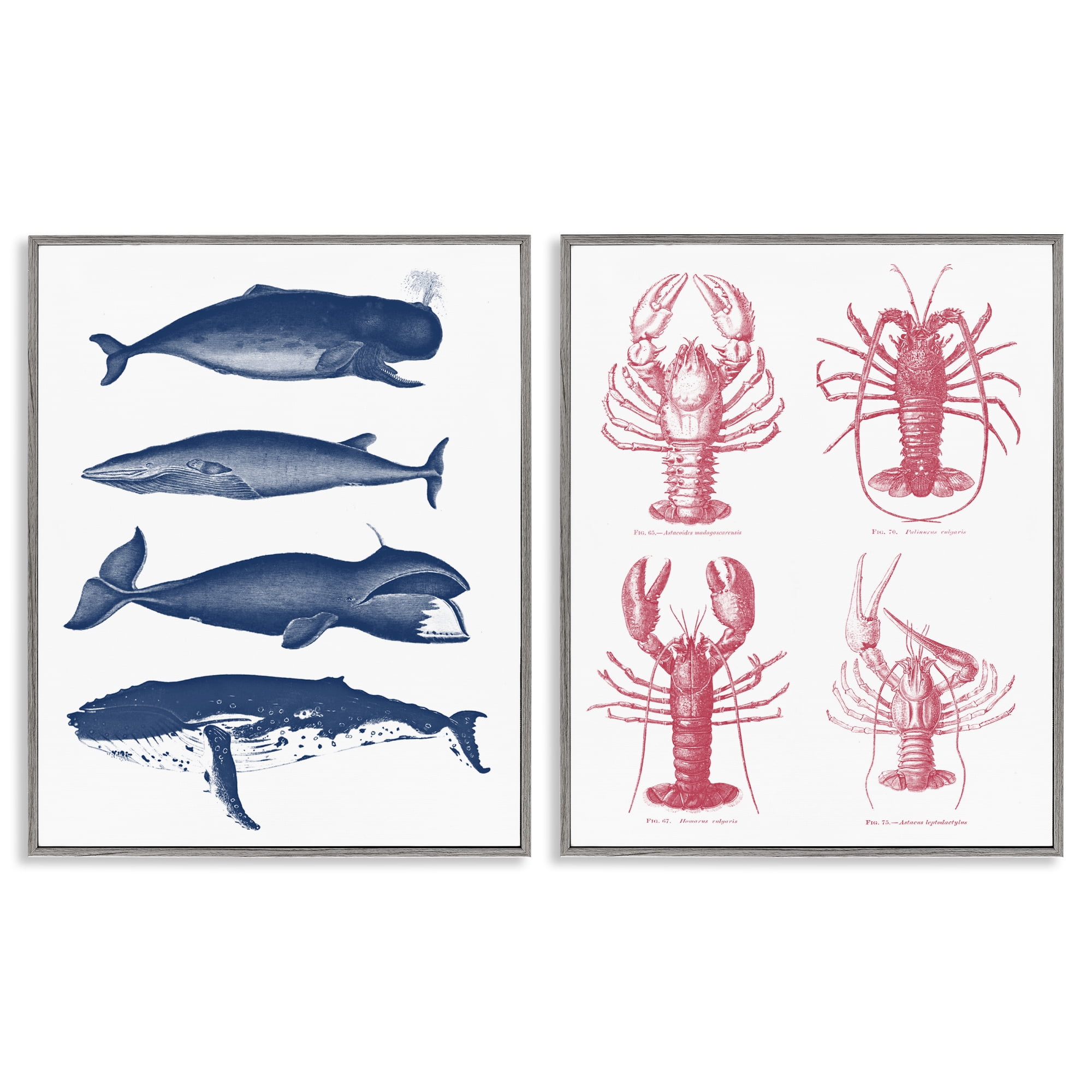 Marine Whales & Lobsters 2 Piece Gray Framed Giclee Art Set, design by Lettered and Lined