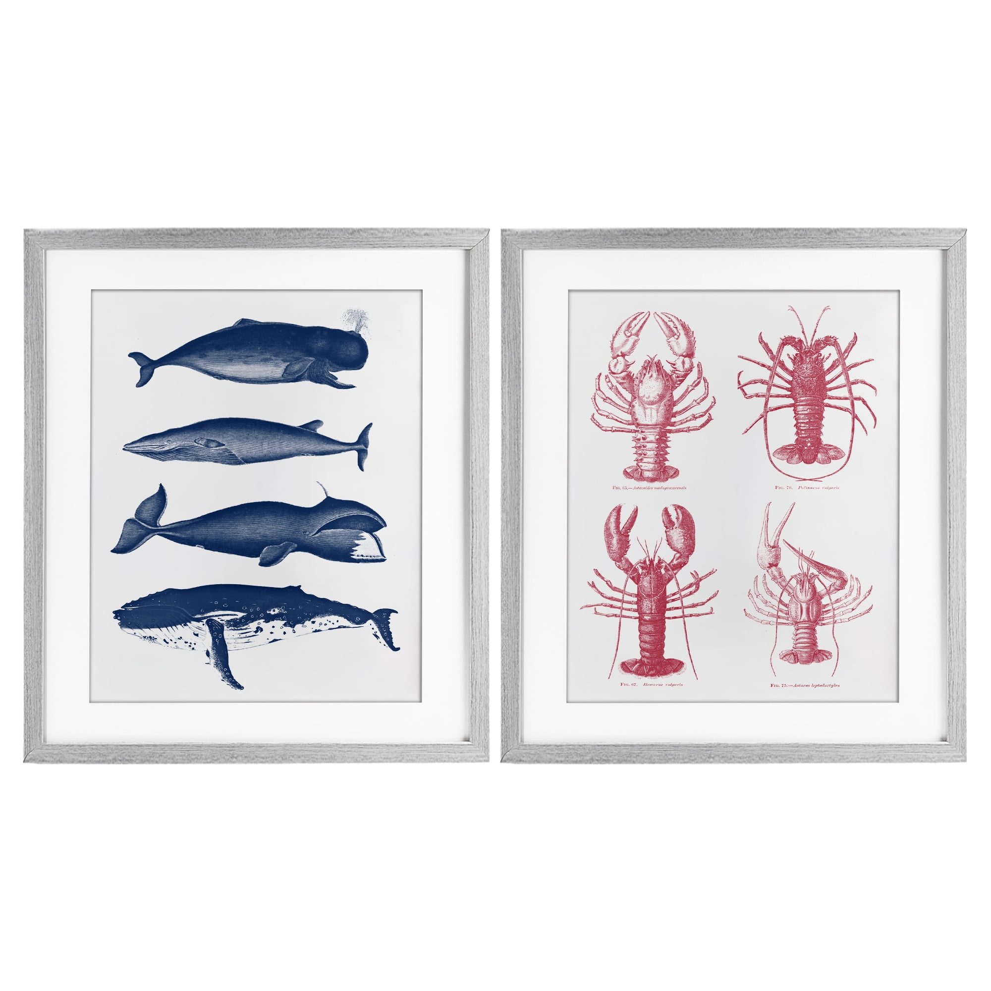 Marine Whales & Lobsters 2 Piece Gray Framed Print Under Glass Set, design by Lettered and Lined