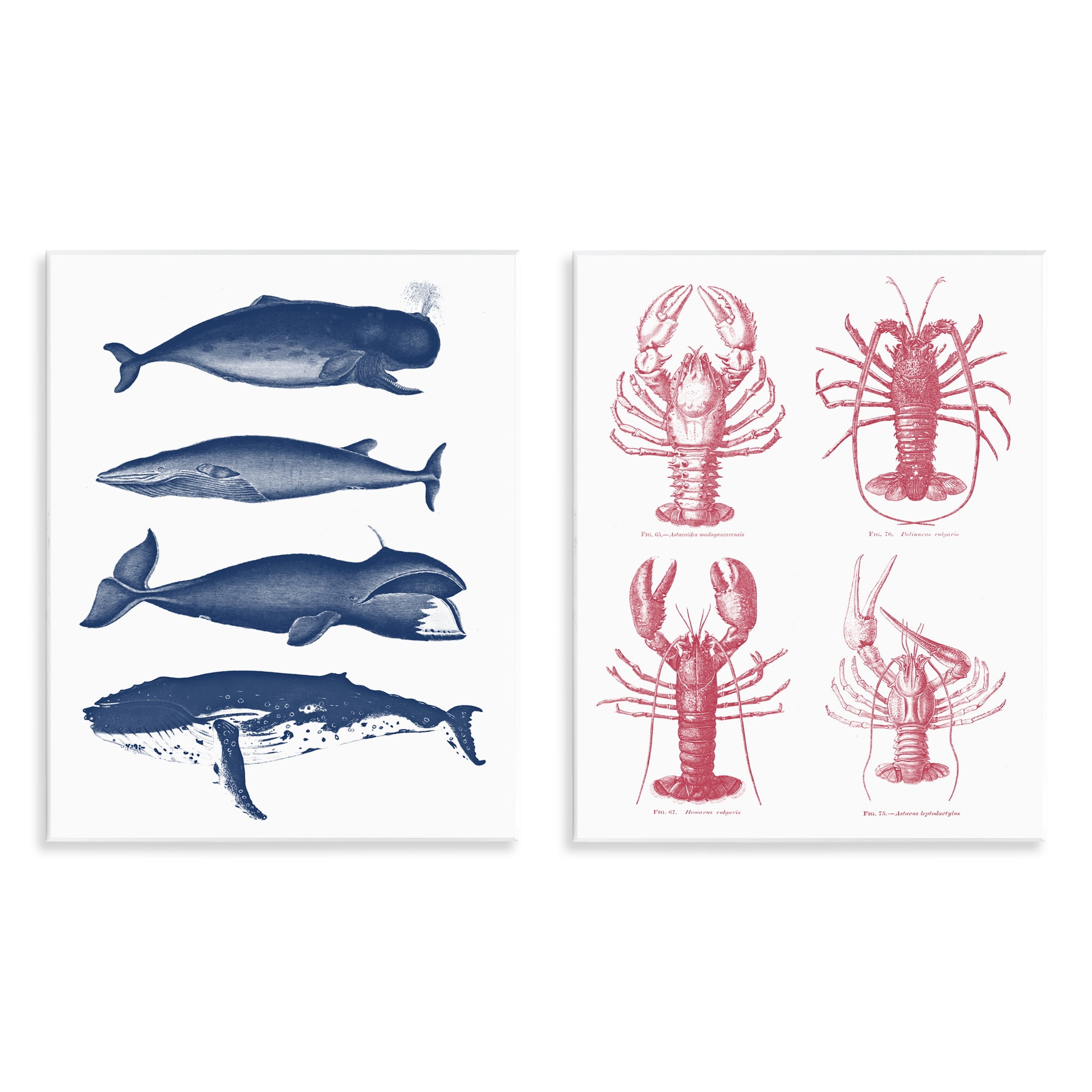 Marine Whales & Lobsters 2 Piece Wall Plaque Art Set, design by Lettered and Lined