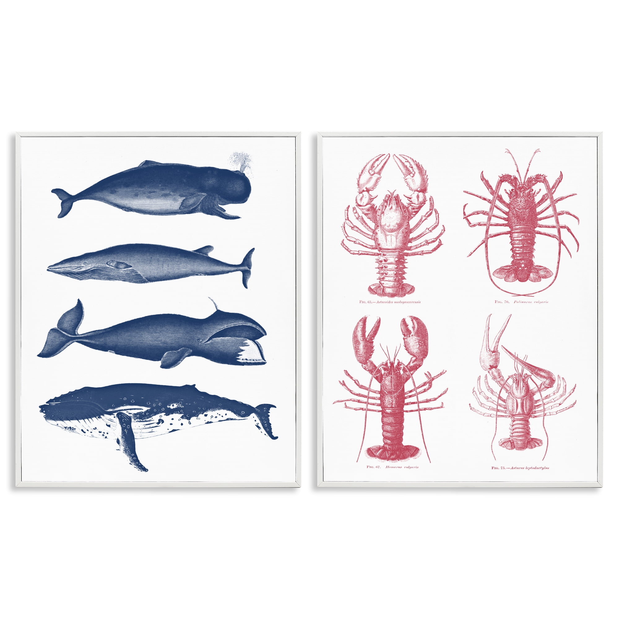 Marine Whales & Lobsters 2 Piece White Framed Giclee Art Set, design by Lettered and Lined