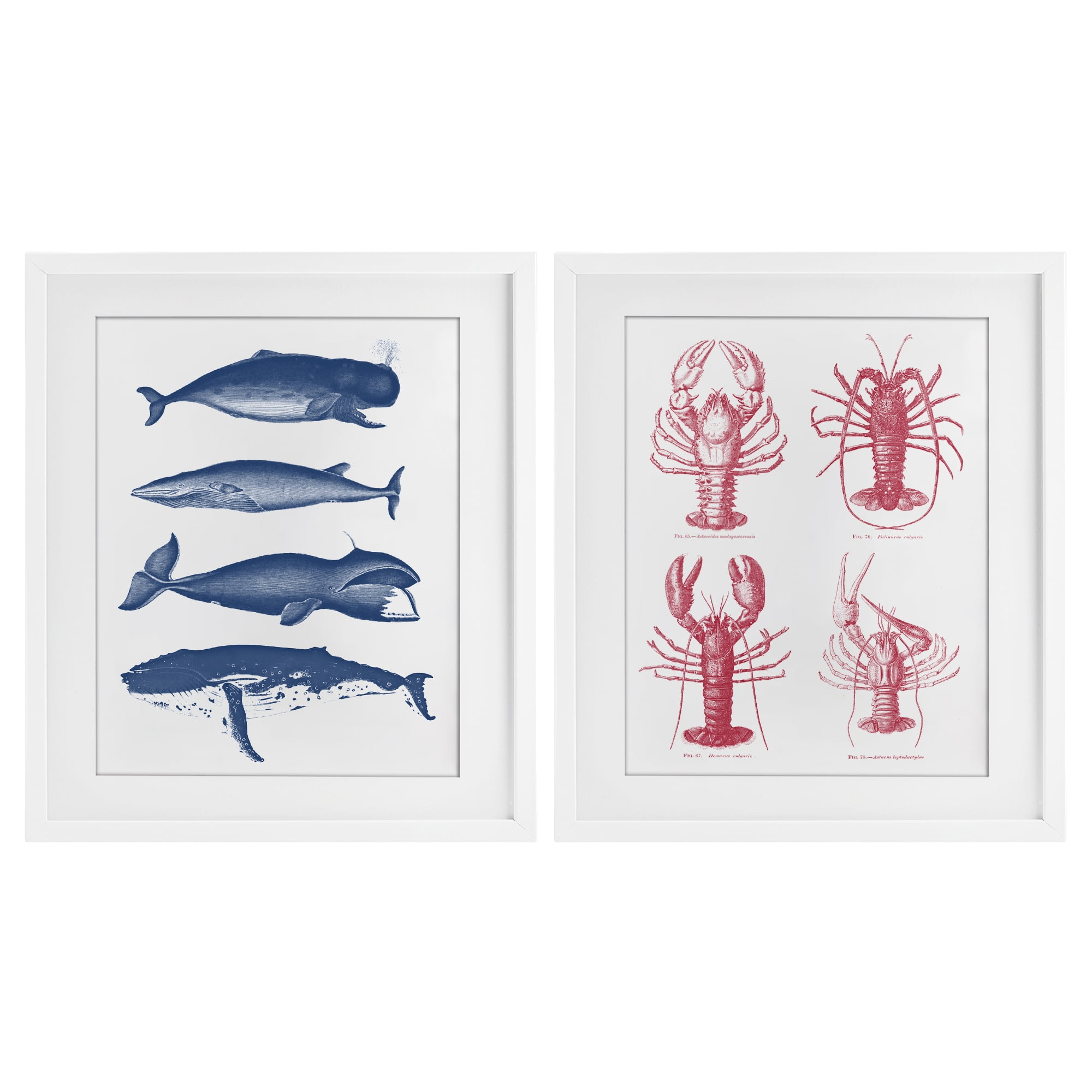 Marine Whales & Lobsters 2 Piece White Framed Print Under Glass Set, design by Lettered and Lined