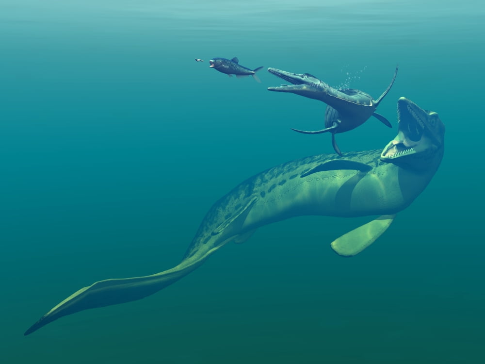 Marine predators of the Cretaceous period Canvas Art - Walter MyersStocktrek Images (17 x 13)