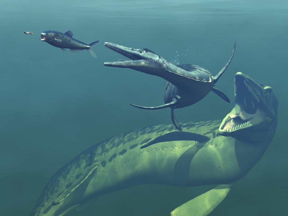 Marine predators of the Cretaceous period Canvas Art - Walter MyersStocktrek Images (33 x 25)