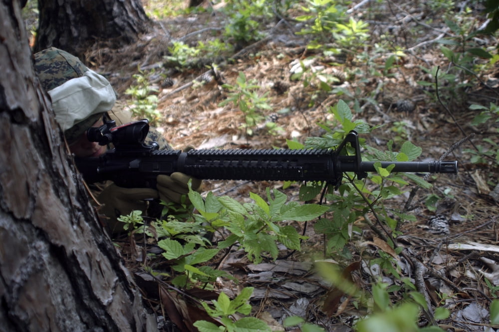 Marine uses a tree for cover and concealment while providing security Canvas Art - Stocktrek Images (34 x 23)