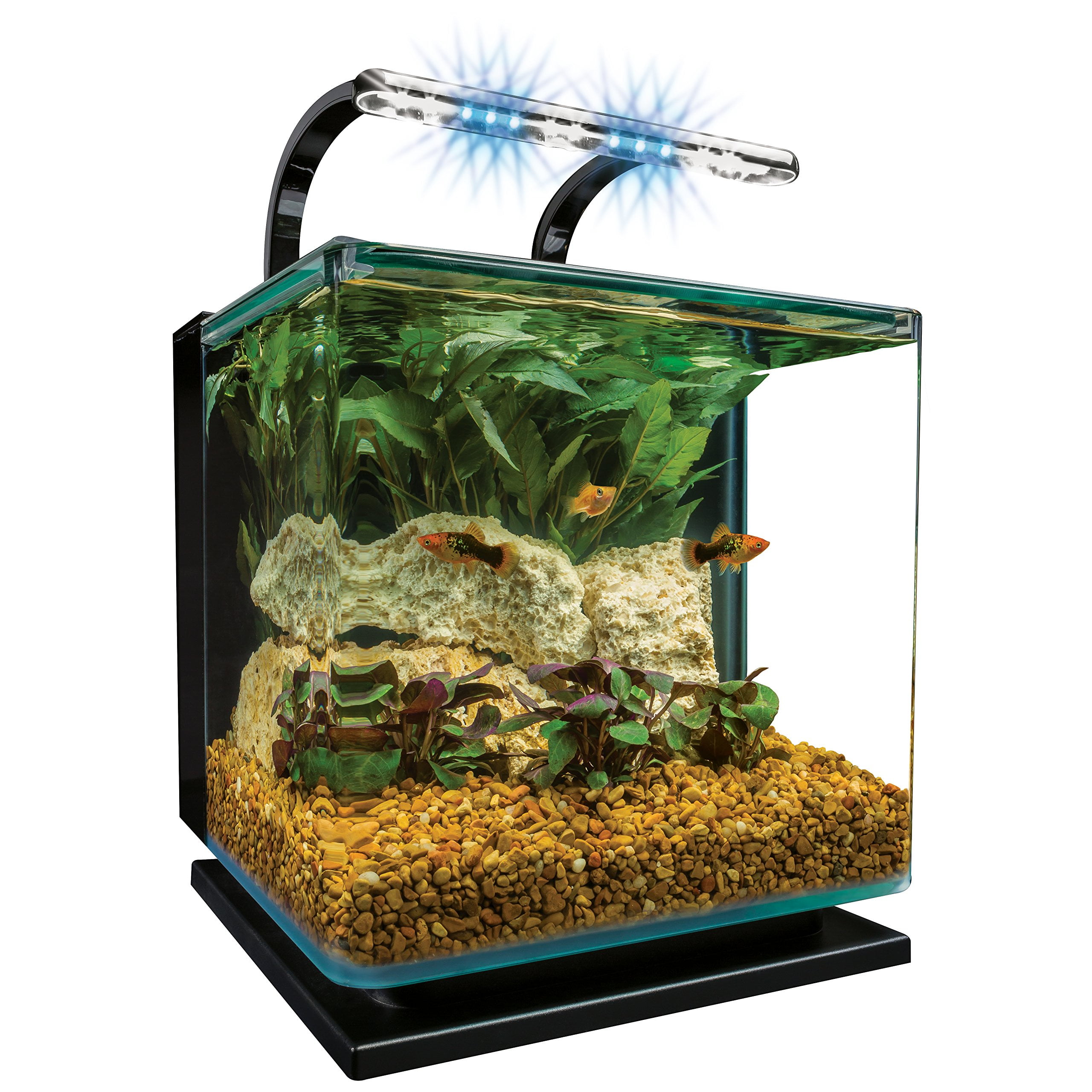 Marineland Contour Glass Aquarium Kit with Rail Light, 3-Gallon