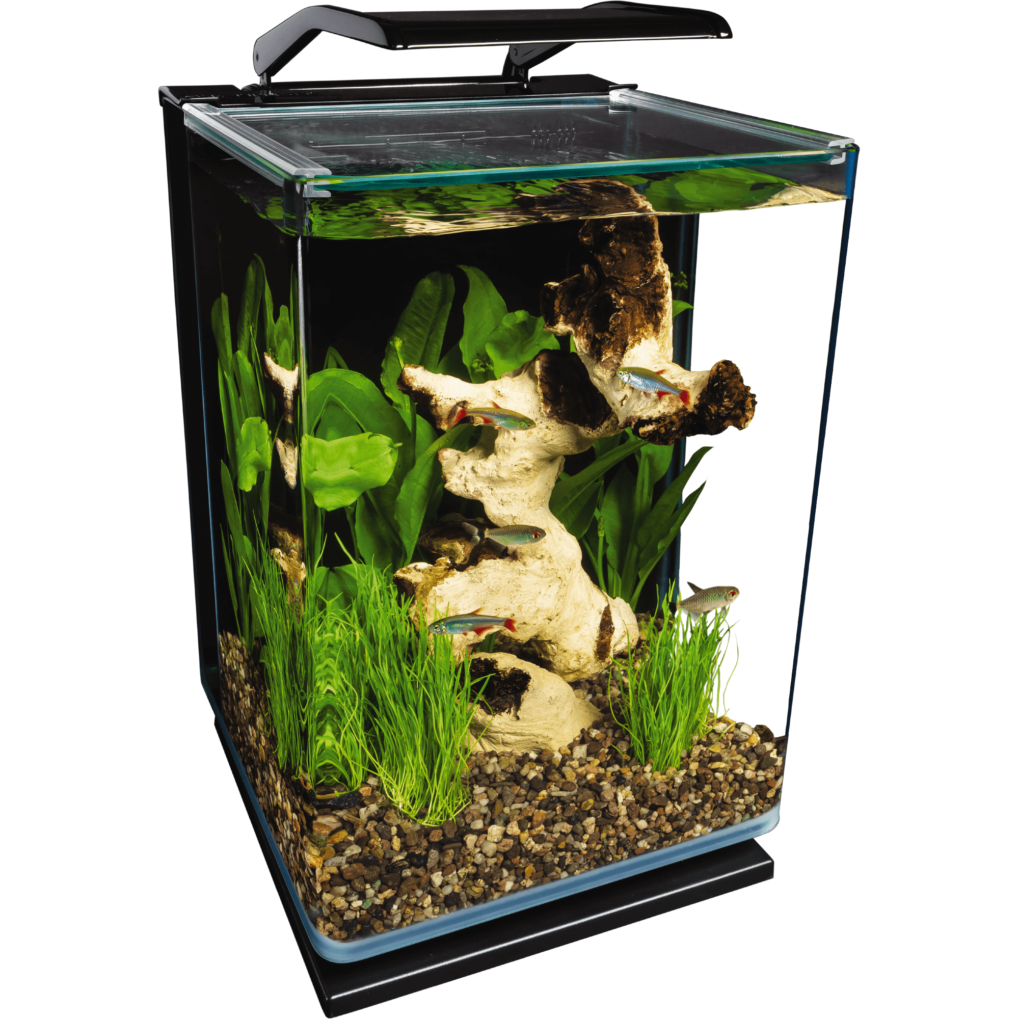 Beginners 54L Glass Fish Tank Aquarium Starter Kit With Led Light Water  Filter
