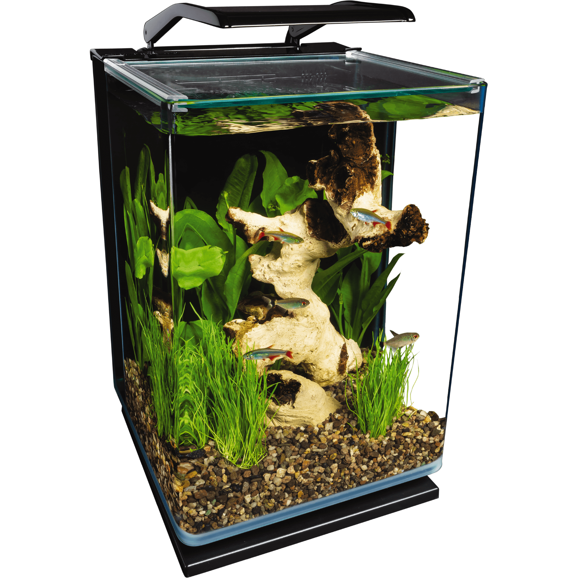 Marineland Portrait Glass LED aquarium Kit, 5 Gallons, Hidden Filtration