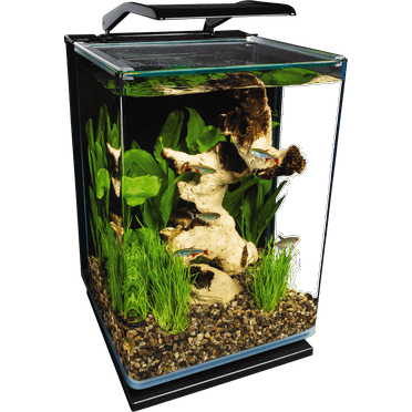 Marineland 5 Gallon Aquarium Kit, Glass Fish Tank with Filter and LED Lights