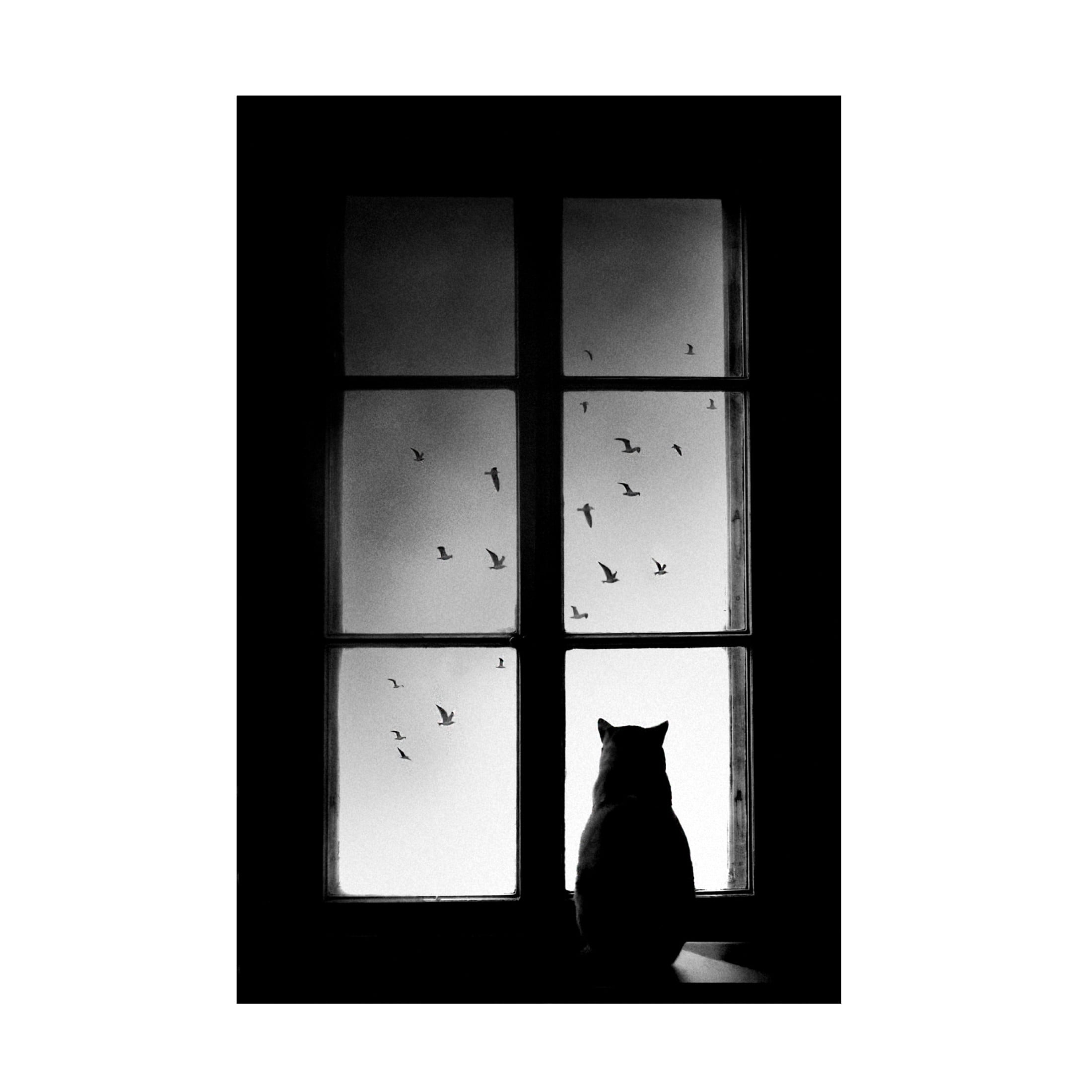 Mario Pucic 'Winter Is Coming' Canvas Art - 22 x 32 Inches