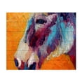 thumbnail image 1 of Marion Rose 'Burro II 1' Wood Slat Art, 1 of 3