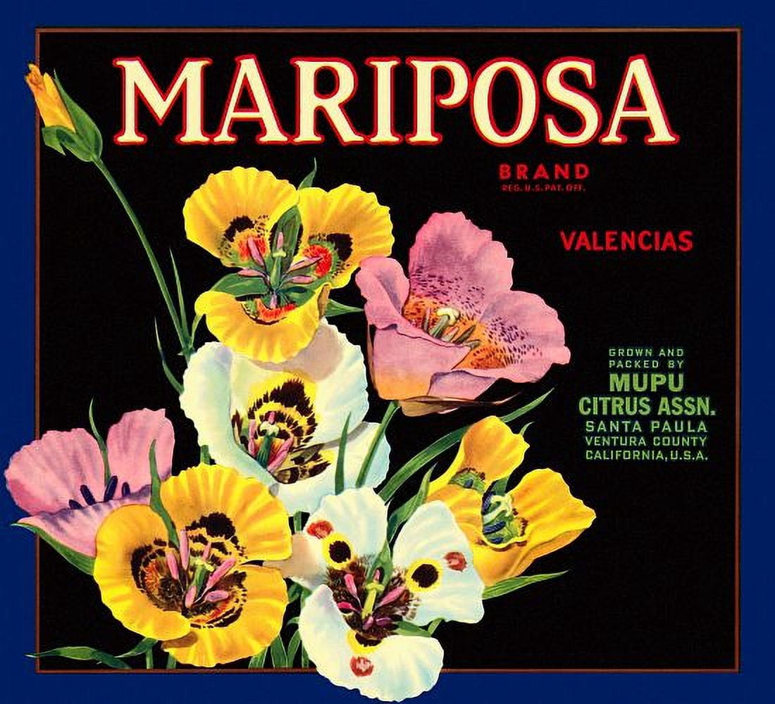 Mariposa Flowers label Canvas Art - (24 x 36)