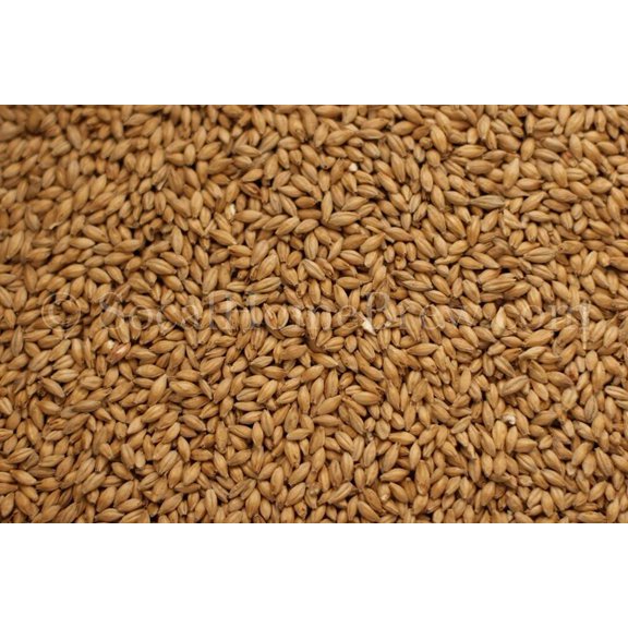 Maris Otter (10 lb)