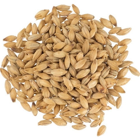 Maris Otter Malt 3L for Brewing  Premium English Base Malted Barley for Beer Making, Home Brewing & Mash Ingredients  1 lb Whole Grain