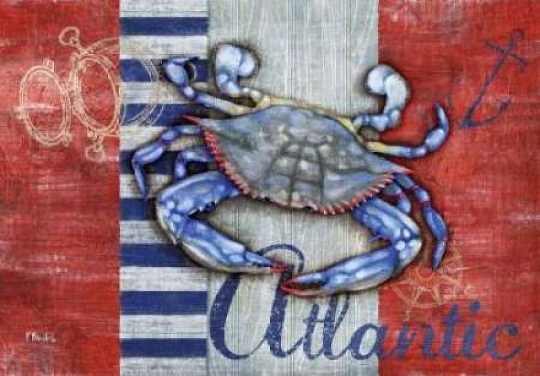 Maritime Crab Canvas Art - Paul Brent (20 x 28)