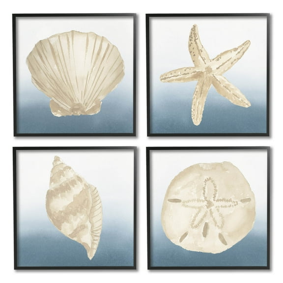 Maritime Seashells Ocean Beach Life Animals & Insects Graphic Art Black Framed Art Print Wall Art, Set of 4