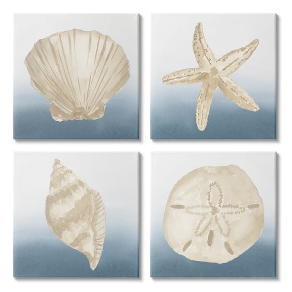 Maritime Seashells Ocean Beach Life Animals & Insects Graphic Art Gallery Wrapped Canvas Print Wall Art, Set of 4