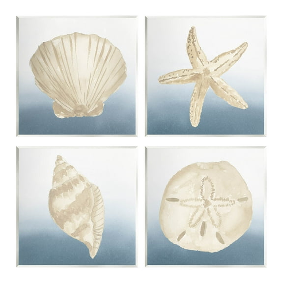 Maritime Seashells Ocean Beach Life Animals & Insects Graphic Art Unframed Art Print Wall Art, Set of 4
