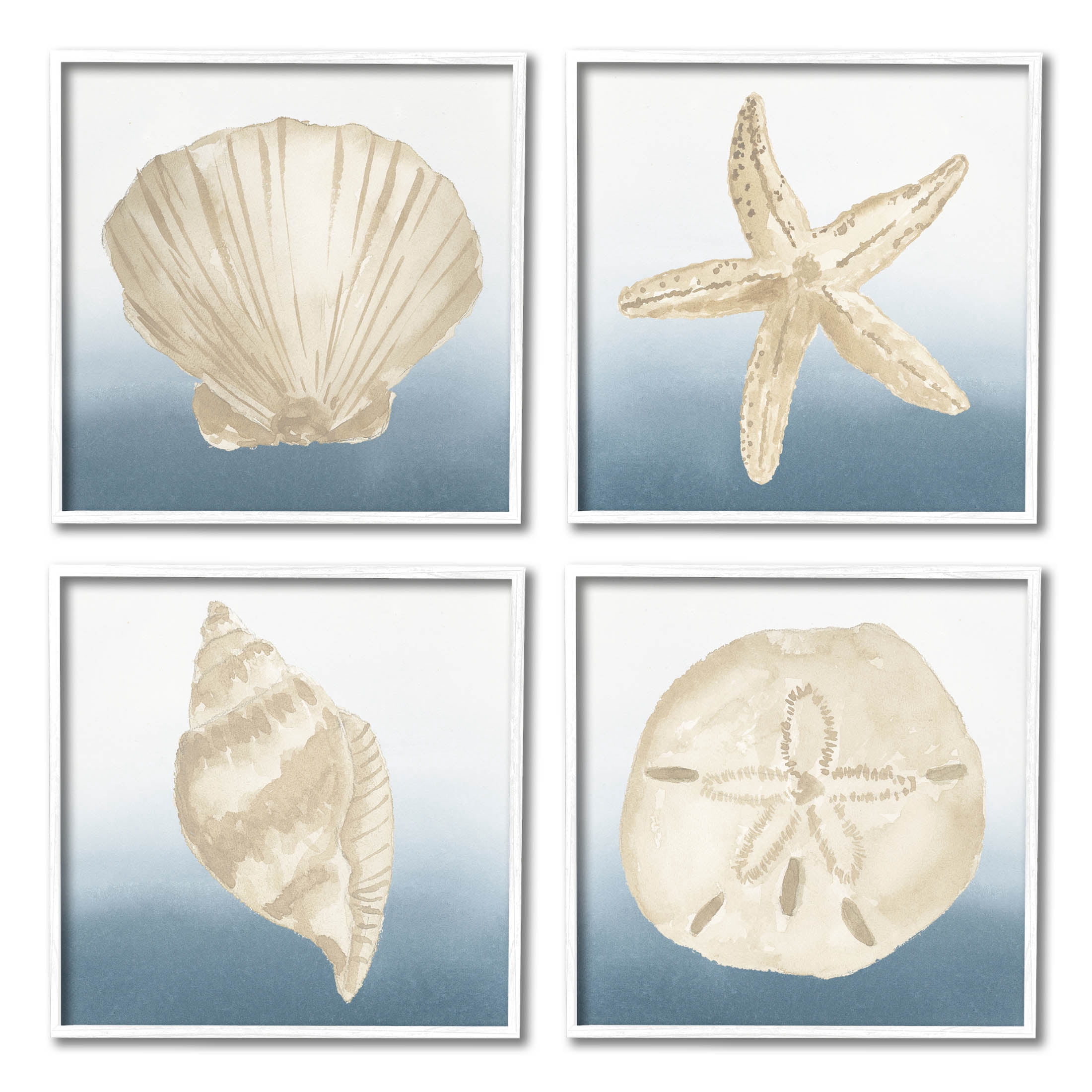 Maritime Seashells Ocean Beach Life Animals & Insects Graphic Art White Framed Art Print Wall Art, Set of 4