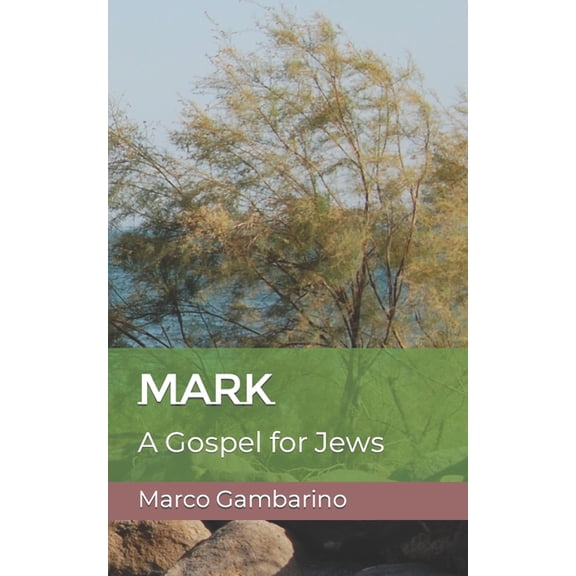 Mark: A Gospel for Jews (Paperback)