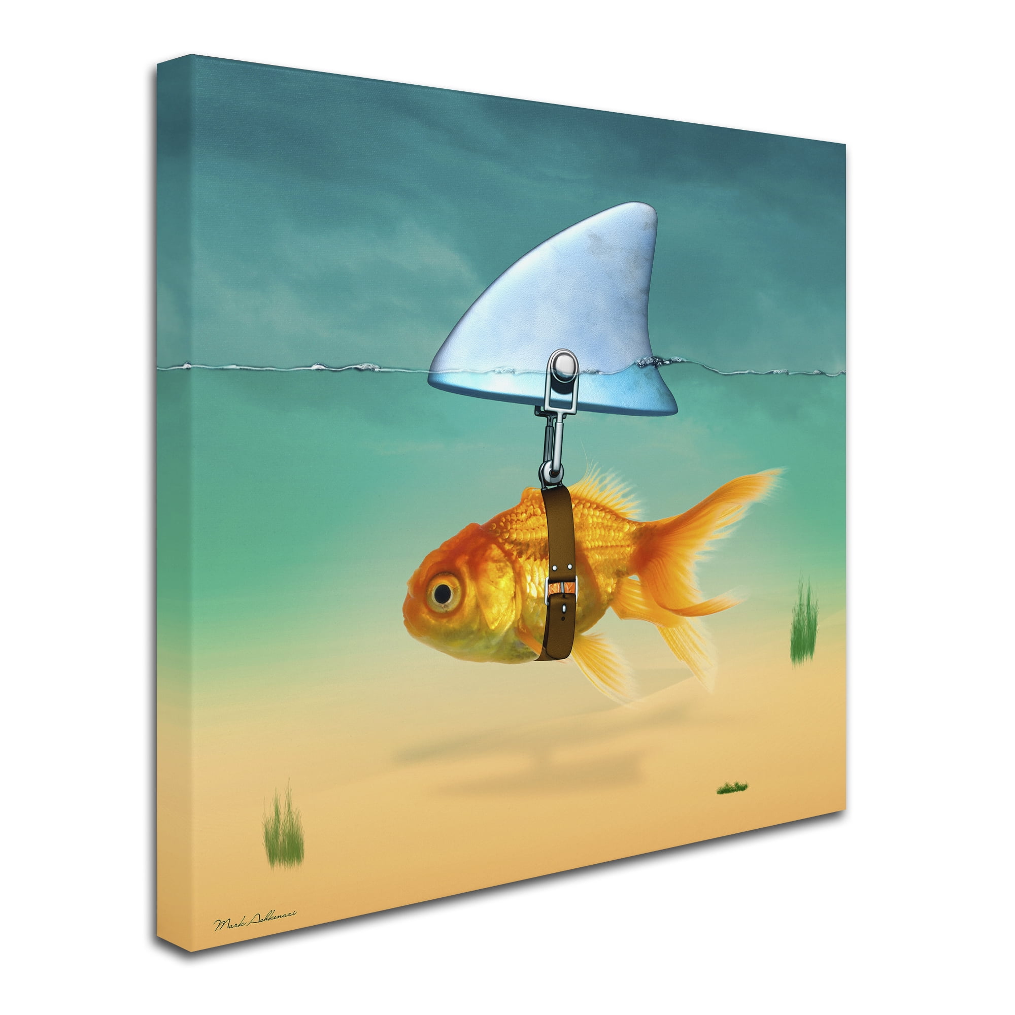 Mark Ashkenazi Goldfish with Shark Fin Abstract Canvas Art, 14" x 14"