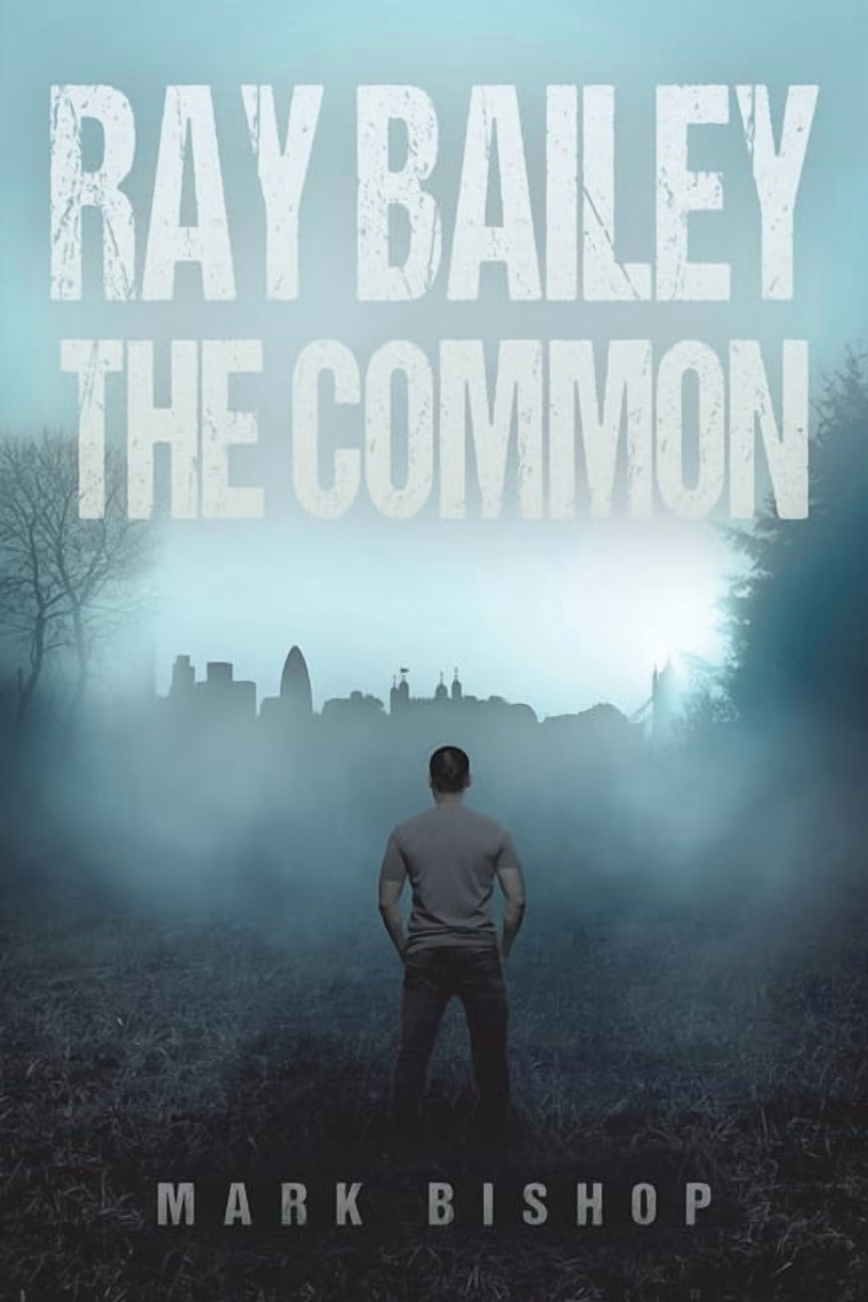 Ray Bailey - The Common, (Paperback) - Walmart.com