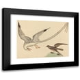 thumbnail image 1 of Mark Catesby 14x11 Black Modern Framed Museum Art Print Titled - The Rice-Bird (Emberiza Oryzivora) (1731-1743), 1 of 5